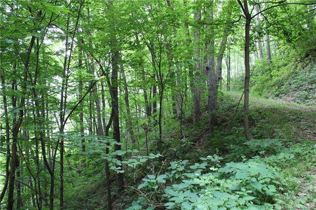0 Teaberry Ridge Road - Photo 1