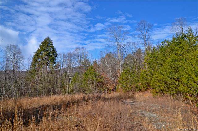143 Buck Ridge Drive - Photo 1