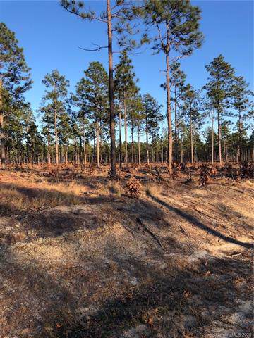 00 Marks Creek Church Road - Photo 1