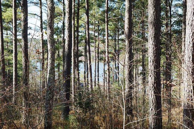 1210 Hidden Cove Lane - Photo 1