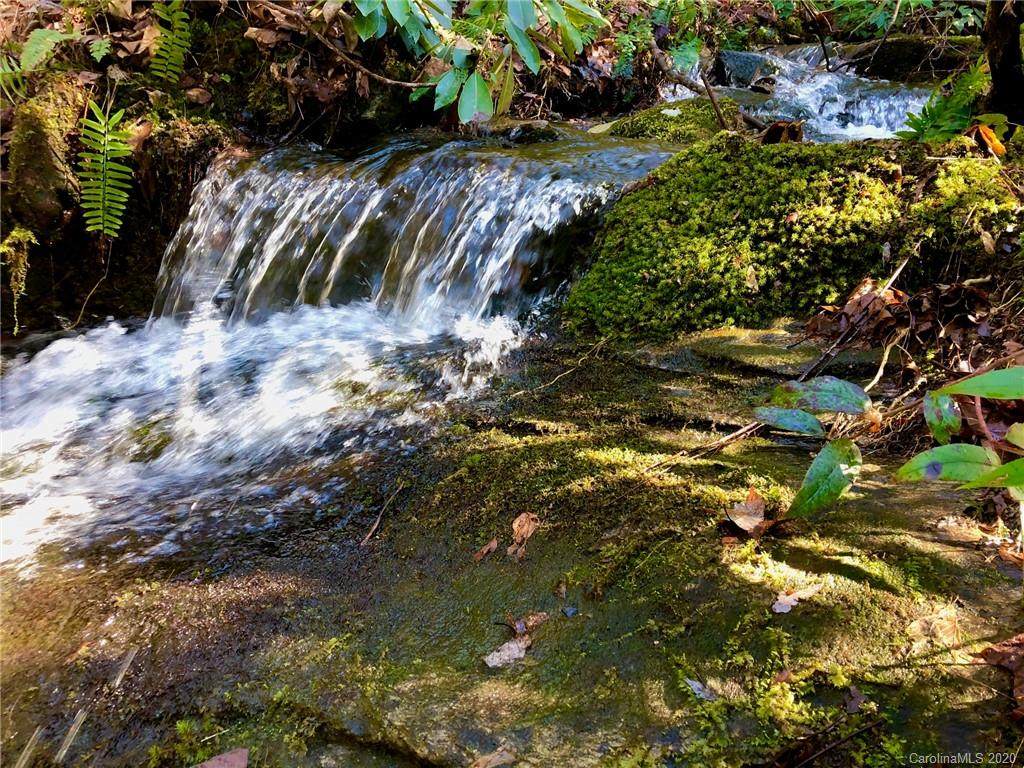 Lot 12 Silver Maple Trail - Photo 1