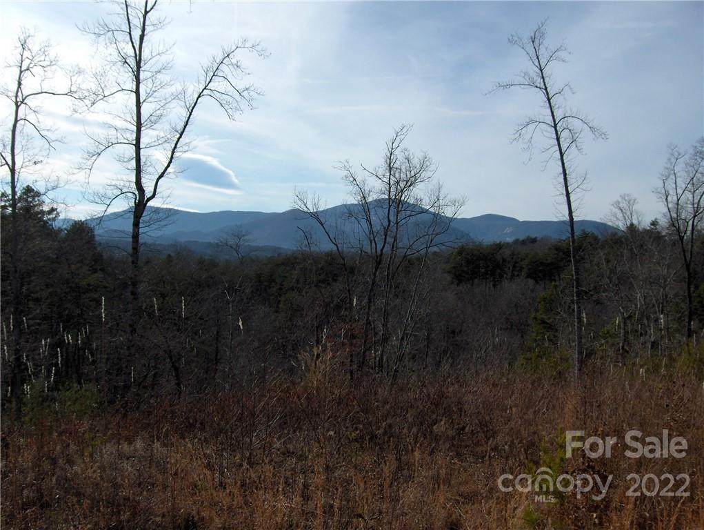 0 Deer Jump Trail - Photo 1