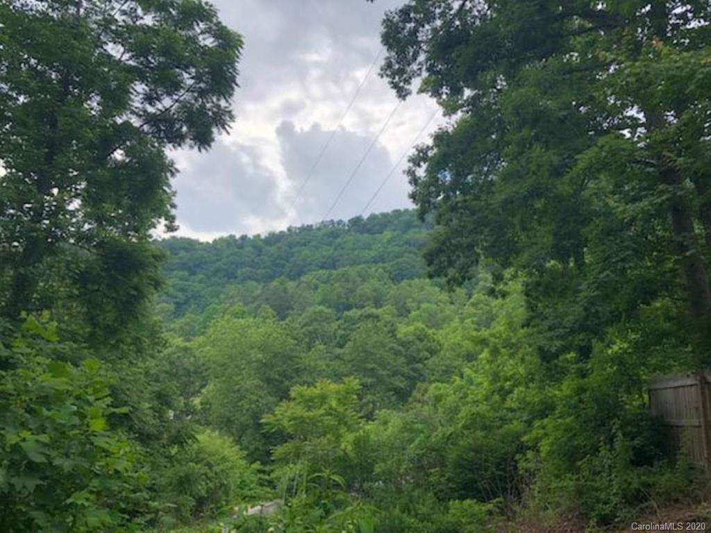 9999 Grassy Ridge Road - Photo 1