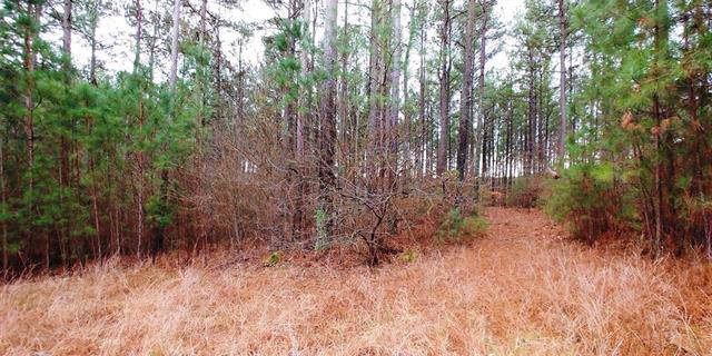 Lot 105 Greens Road - Photo 1