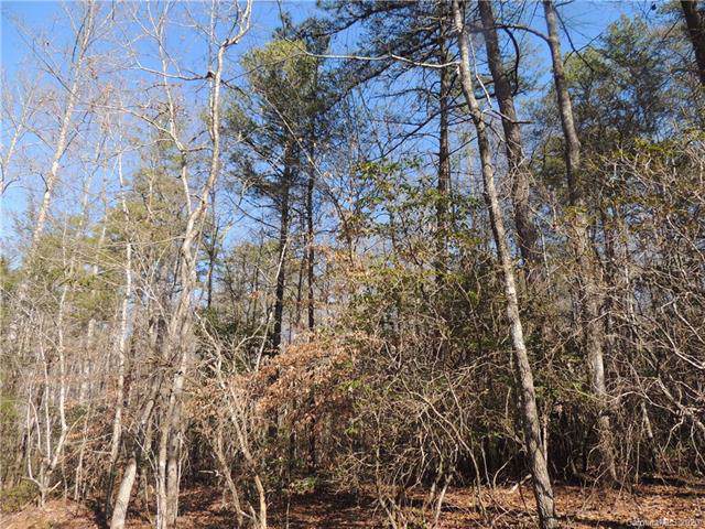 TBD Etowah Mountain Road - Photo 1