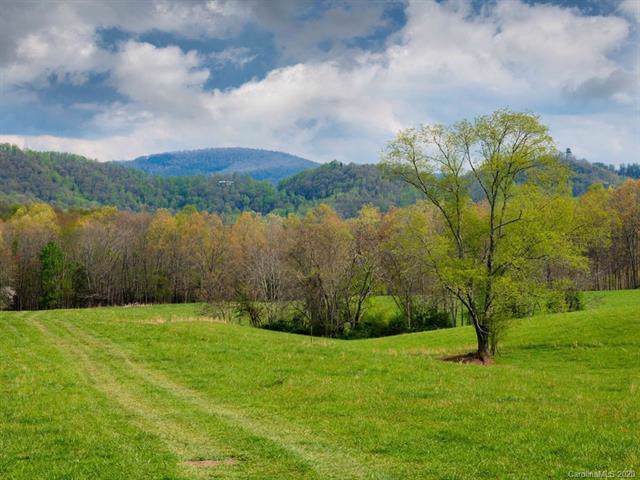 Lot 4 Thistle Lane - Photo 1