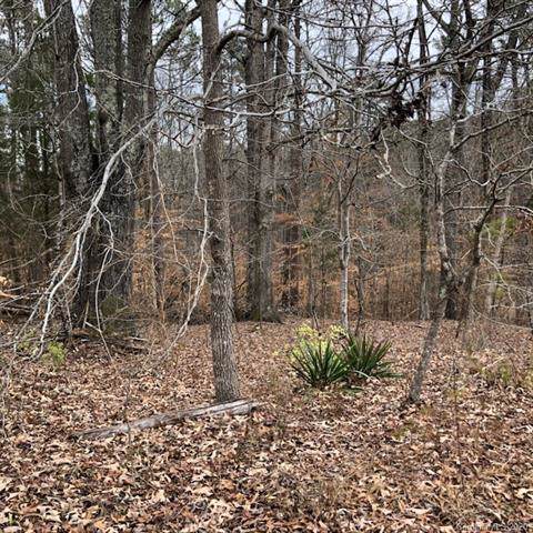 1165 Goodson Road - Photo 1