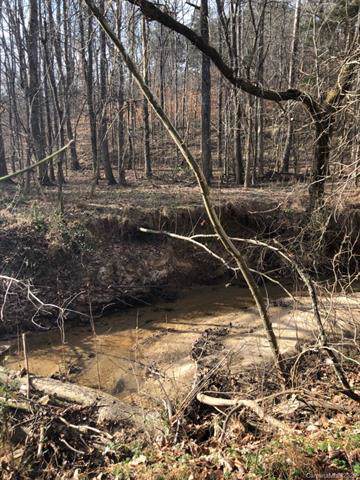 00 Earnest Miller Road - Photo 1
