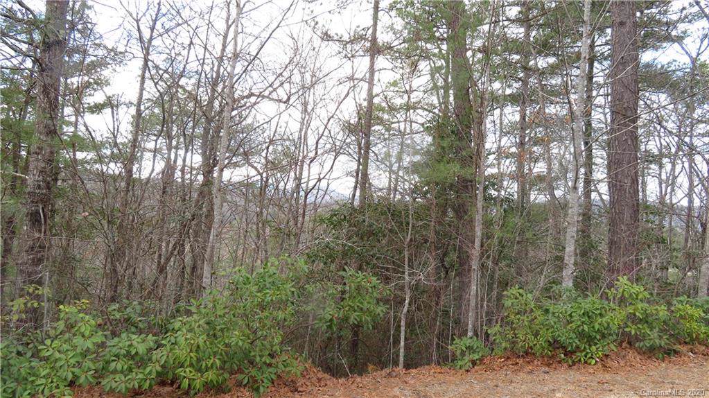 415 Jonathan Creek Drive - Photo 1