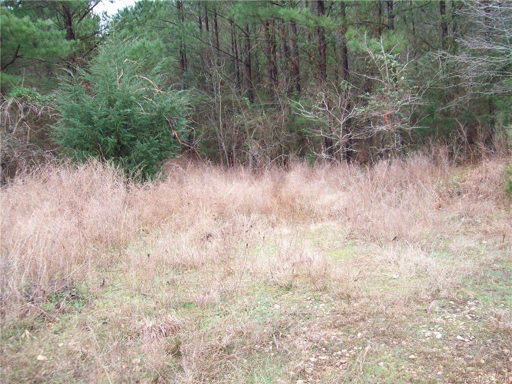 2917 Ross Dye Road - Photo 1
