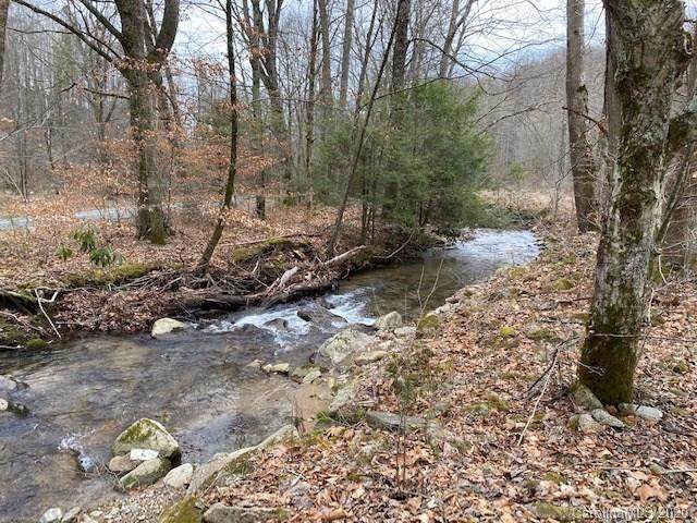 00 Beans Creek Road - Photo 1
