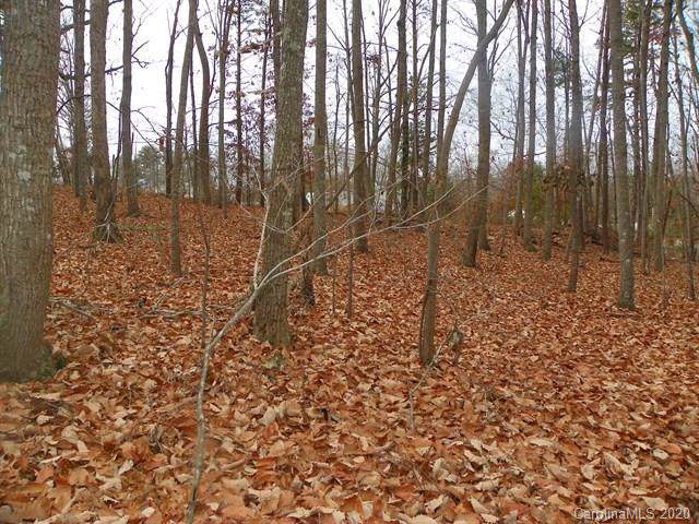4221 Pinto Lane - Photo 1
