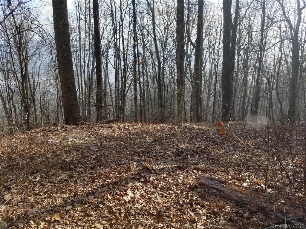 811 Dogwood Trail - Photo 1