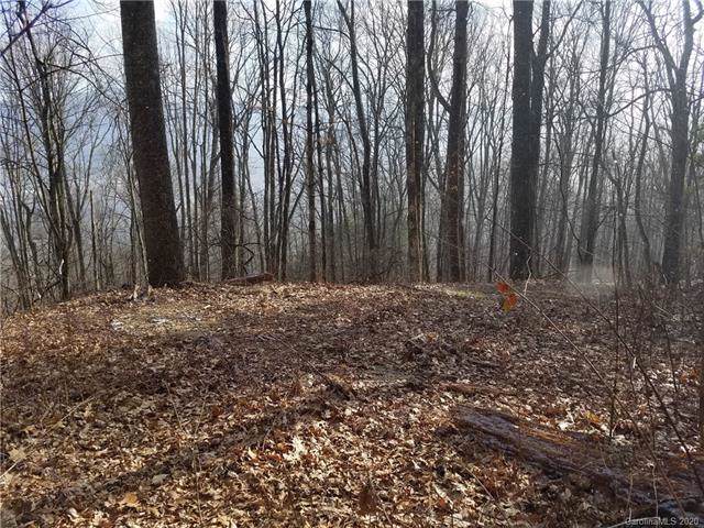 811 Dogwood Trail - Photo 1