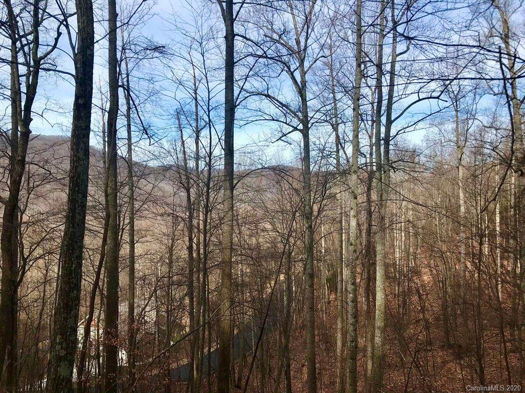 547 Blue Mist Way - Photo 1