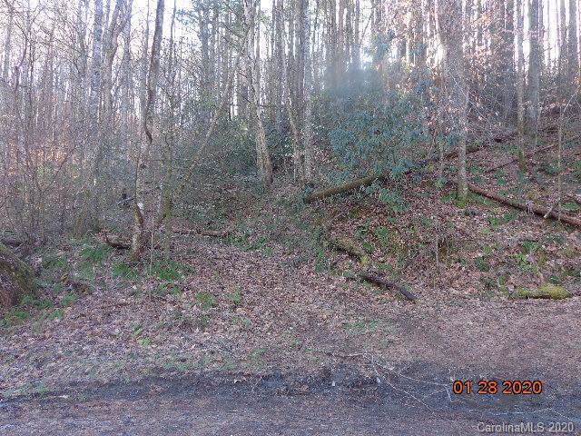 SR 1432 Parris Branch Road - Photo 1