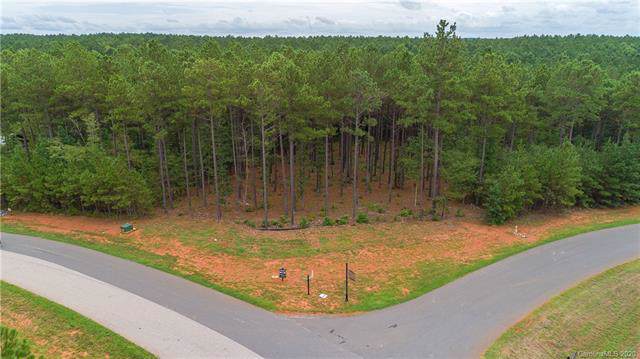 6005 Chimney Bluff Road - Photo 1