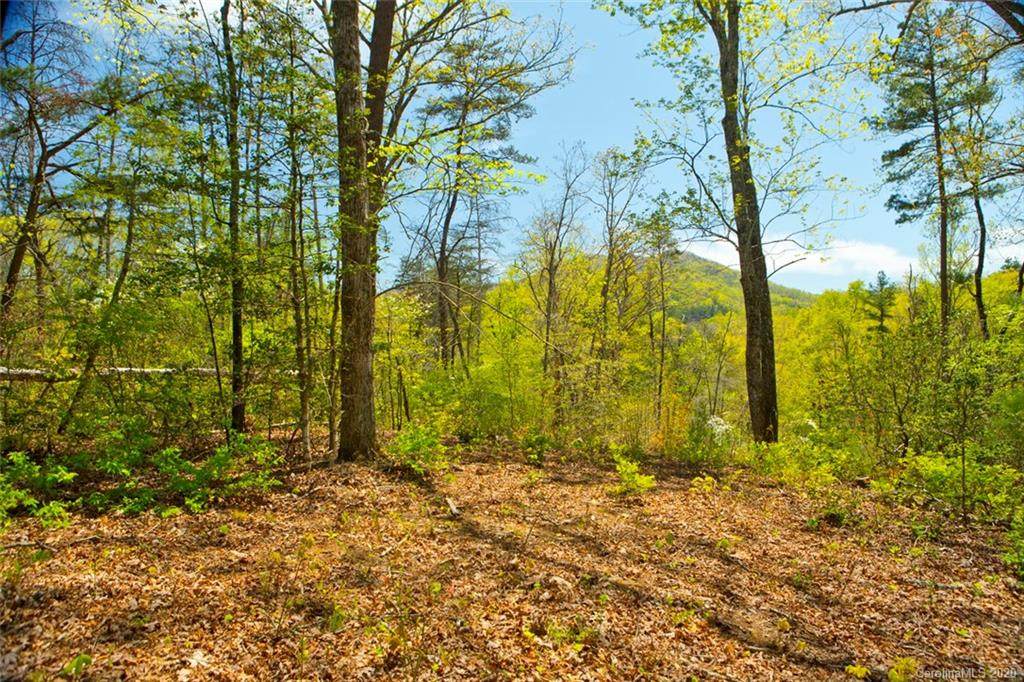 71 Ember Cast Lane - Photo 1