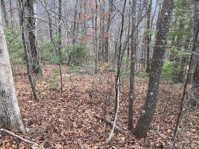 #22 Silent Forest Drive - Photo 1