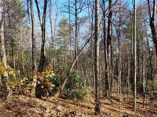 L-5 & L-6 Moose Haven - Photo 1