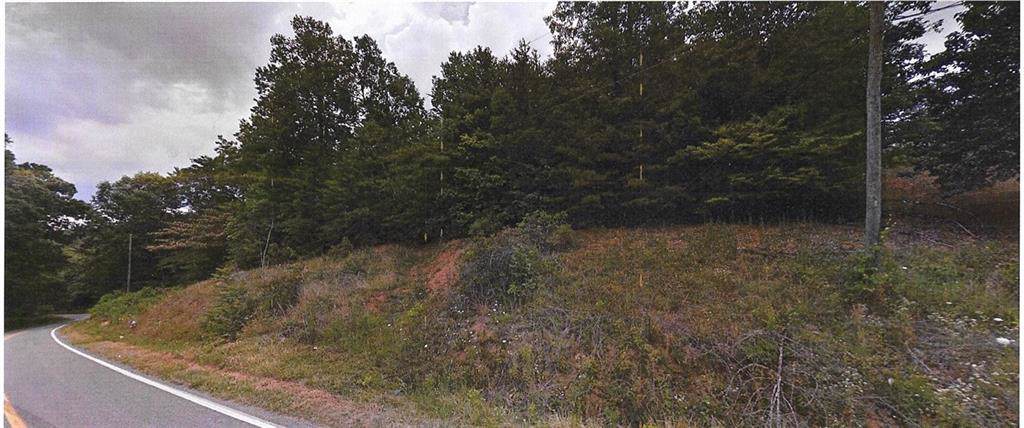Across from 445 Roby Conley Road - Photo 1