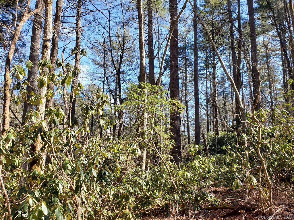 100 Wood Thrush Way - Photo 1