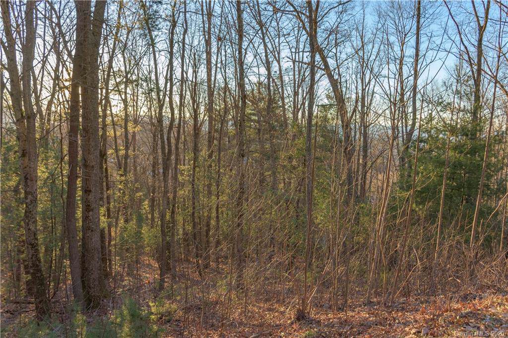 64 Giffords Lane - Photo 1