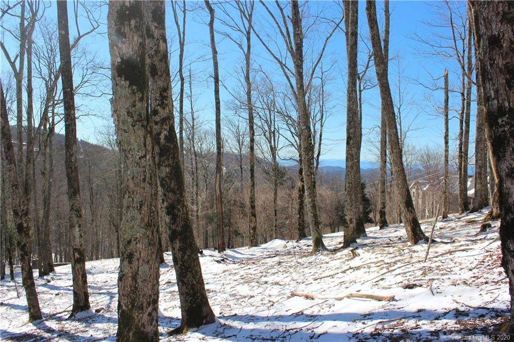 000 Hanging Rock Road - Photo 1