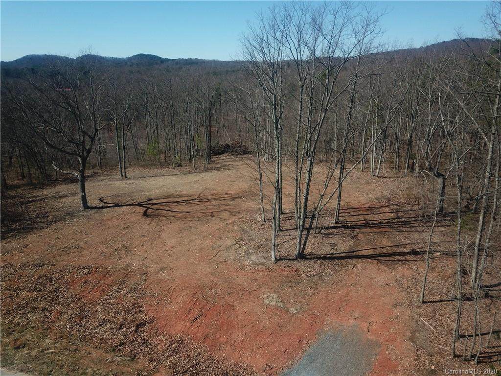1010 Pinnacle Woods Court - Photo 1