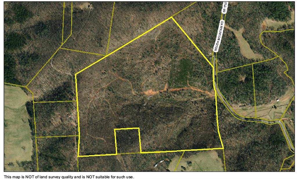 0 Brush Mountain Road - Photo 1