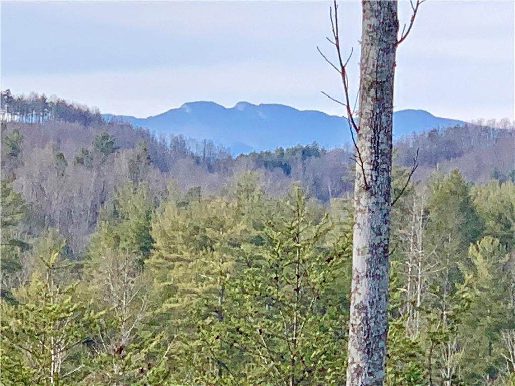 Lot 903 High Valley Way - Photo 1