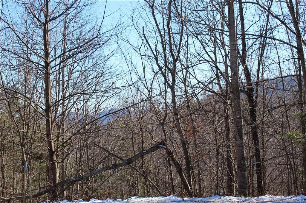 Lot 48 Feather Falls Trail - Photo 1