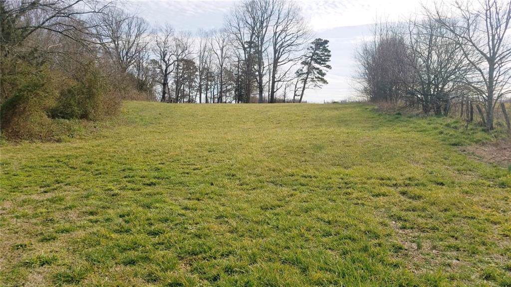 1938 Wallace Dairy Road - Photo 1