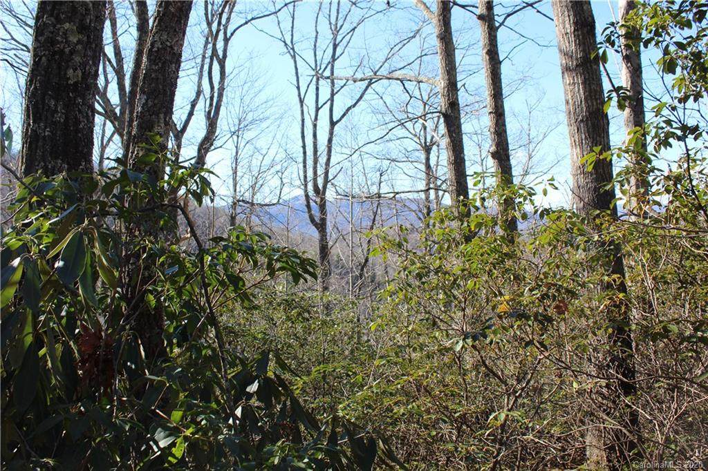 Lot 26 Mount Amy Road - Photo 1