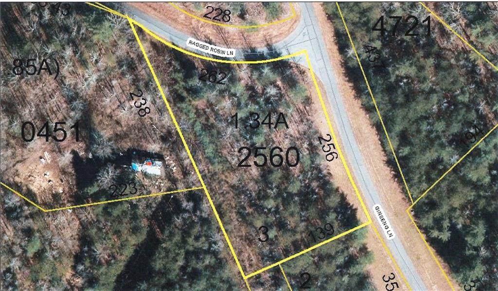 Lot 3 Ginseng Lane - Photo 1