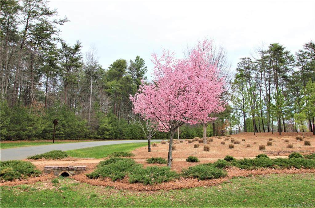 10620 Sweetleaf Place - Photo 1