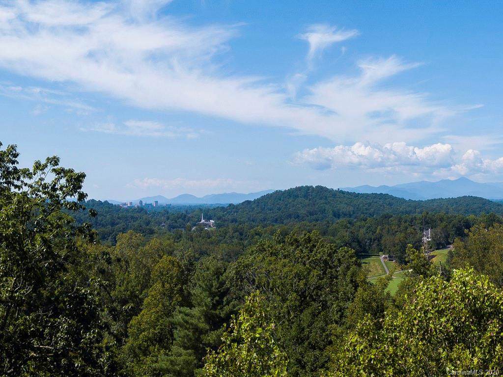 191 Elk Mountain Scenic Highway - Photo 1