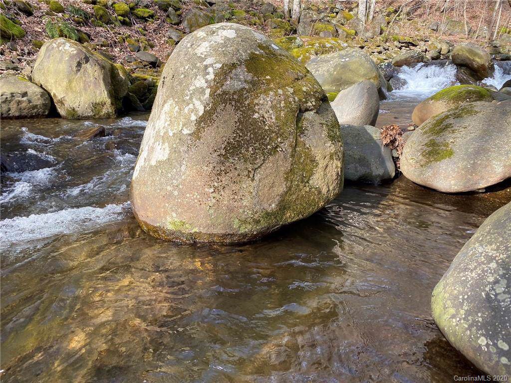 2709 Roaring Creek Road - Photo 1
