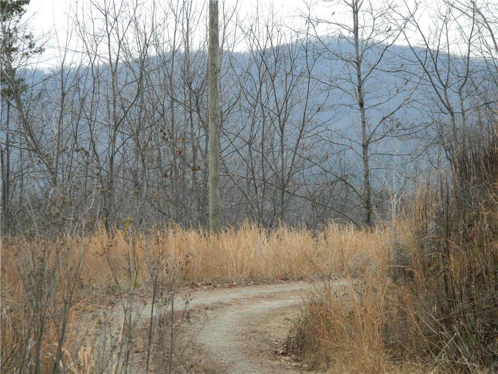 10 Acres Galax Lane - Photo 1