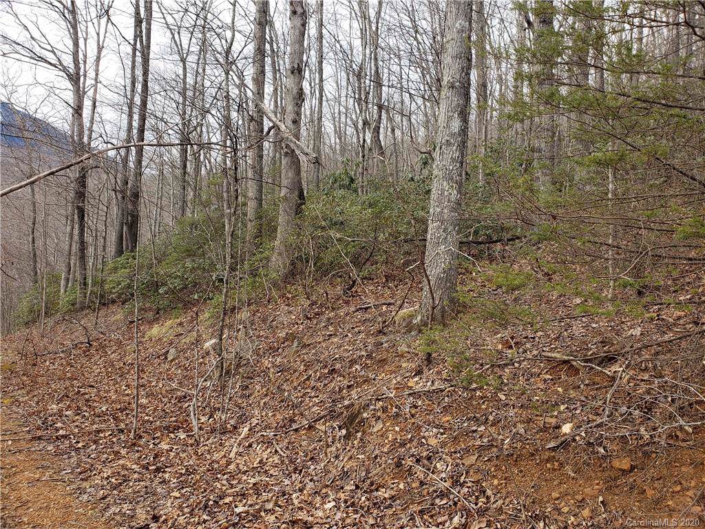 TBD White Oak Road - Photo 1