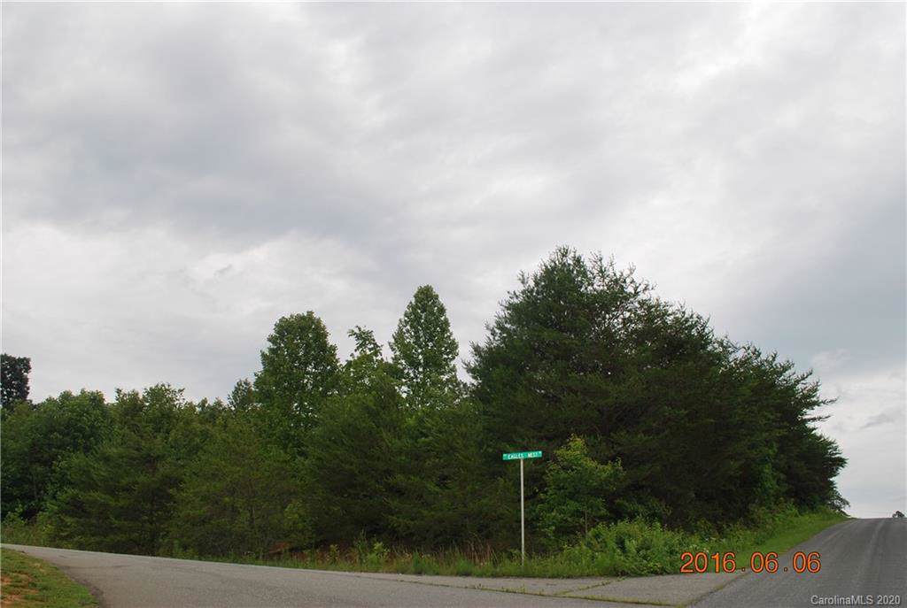 Lot 11 Eagles Nest Drive - Photo 1
