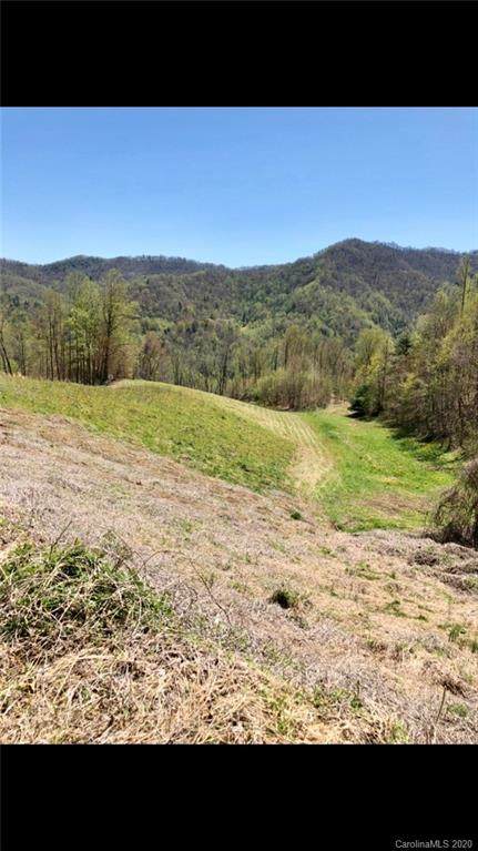 tbd Big Pine Road - Photo 1