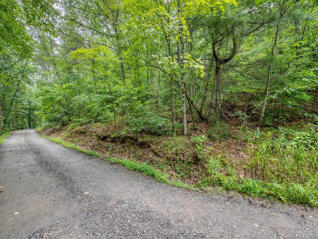 Lot #1 Mary Ruth Way - Photo 1