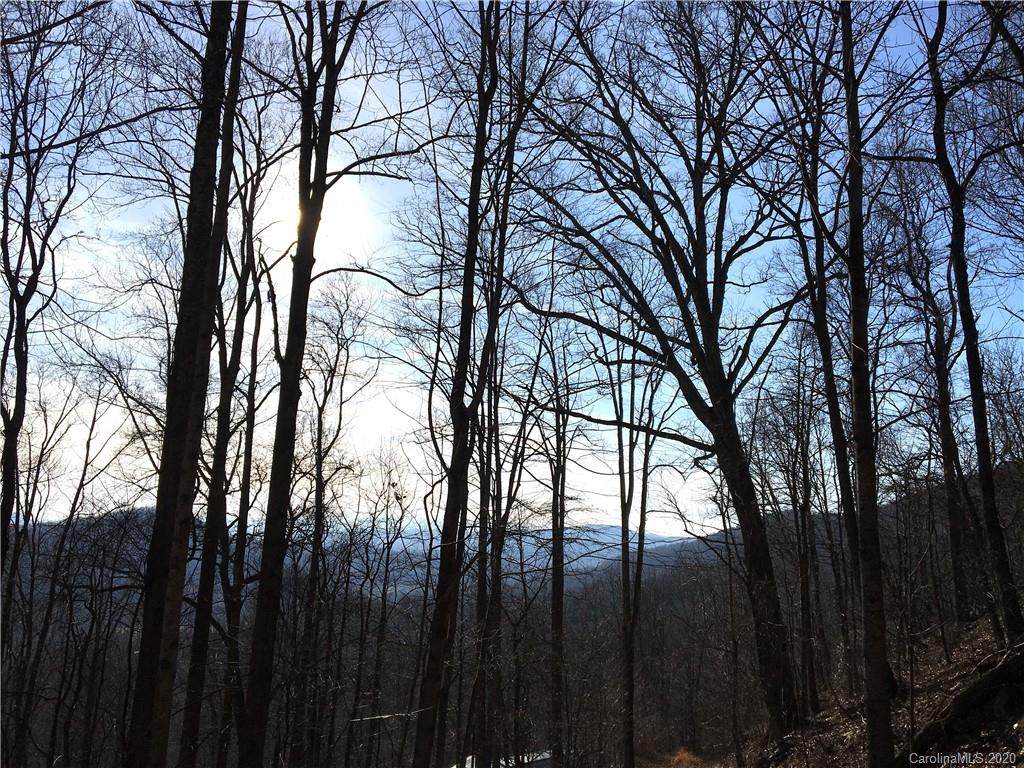 32 Elk Trail - Photo 1