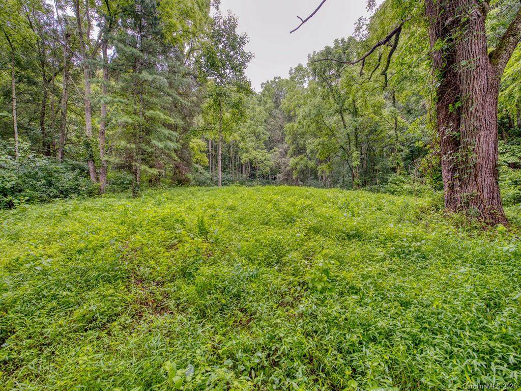 Lot #2 Mary Ruth Way - Photo 1