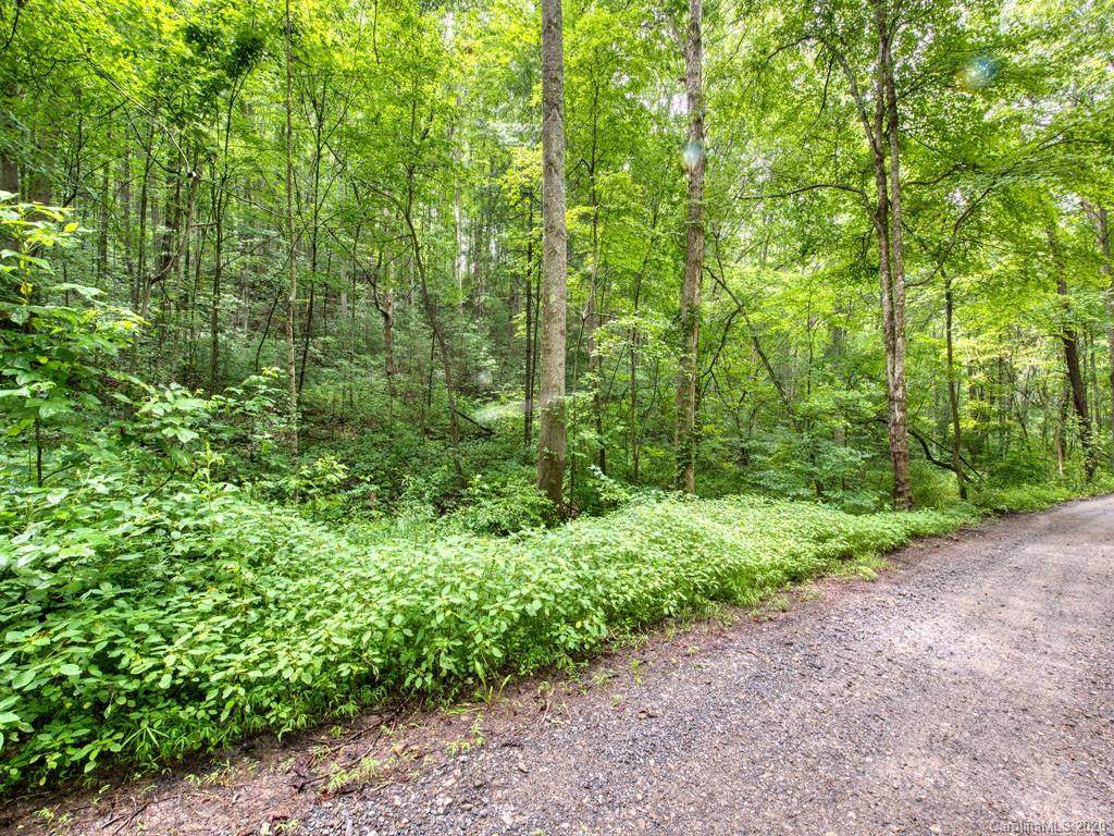 Lot #3 Mary Ruth Way - Photo 1