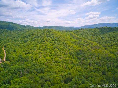 999 Laurel Mountain Trail - Photo 1