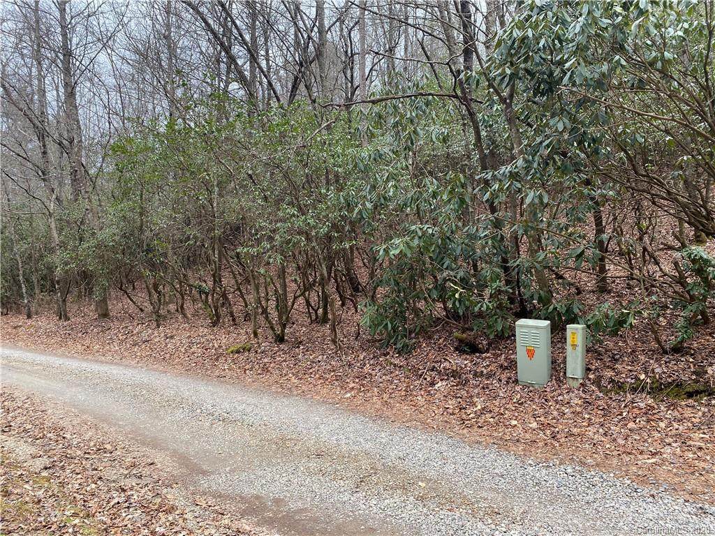 TBD Forest Lake Road - Photo 1 TBD Forest Lake Road - Photo 1