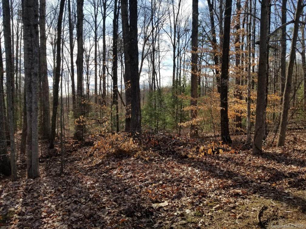 4280 Spruce Drive - Photo 1