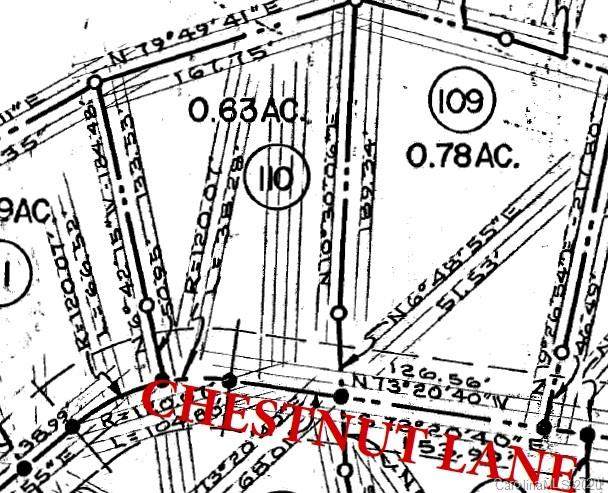 110 Chestnut Lane - Photo 1